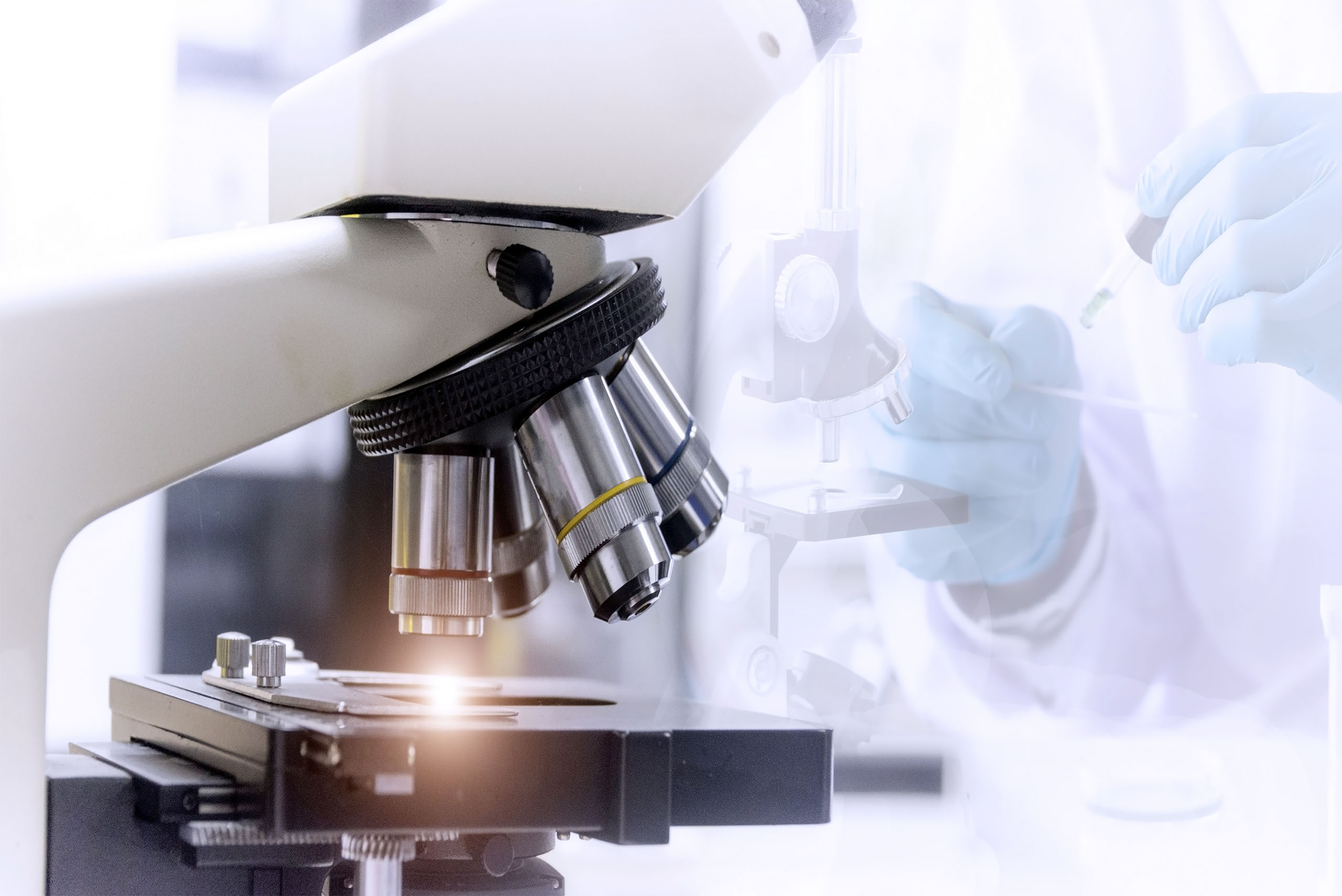 Laboratory Laboratory